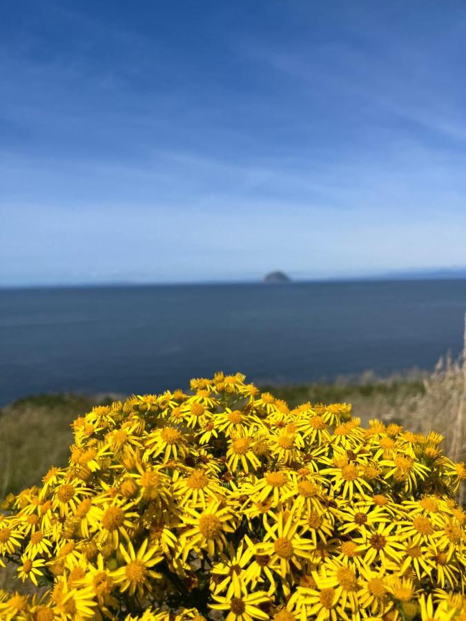 Apartment Js Holidays The Westmorland Lagganhouse